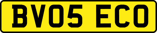 BV05ECO
