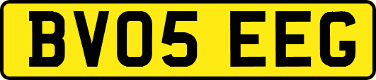 BV05EEG