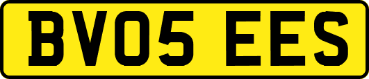 BV05EES
