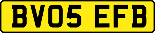 BV05EFB