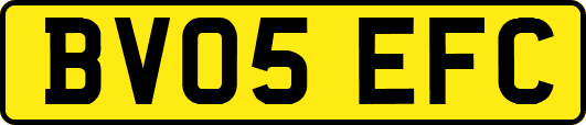 BV05EFC