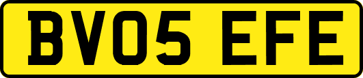BV05EFE