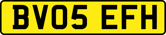 BV05EFH