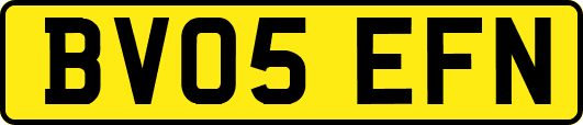 BV05EFN