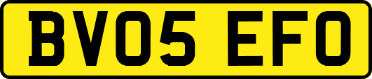 BV05EFO