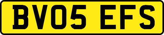 BV05EFS