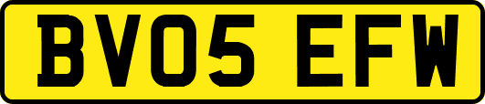 BV05EFW