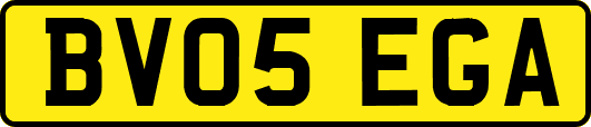 BV05EGA