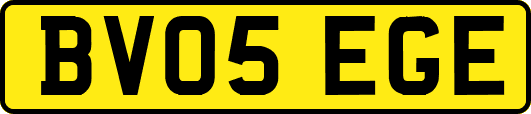 BV05EGE