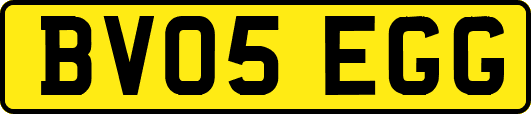 BV05EGG