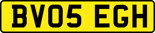 BV05EGH