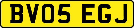 BV05EGJ