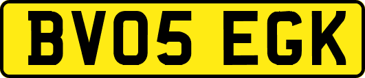 BV05EGK