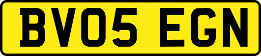 BV05EGN