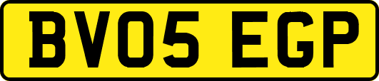 BV05EGP