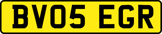 BV05EGR