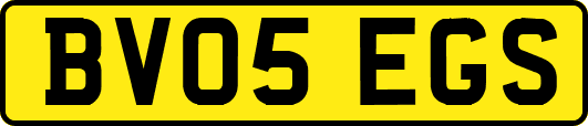 BV05EGS
