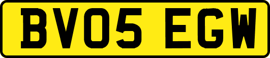 BV05EGW