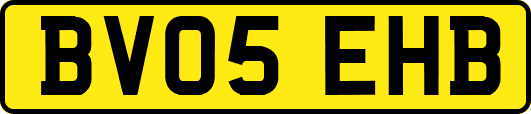 BV05EHB
