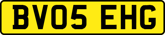 BV05EHG