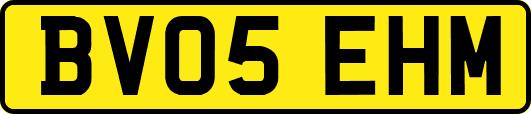 BV05EHM