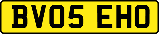 BV05EHO