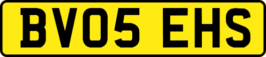BV05EHS