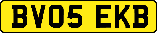 BV05EKB
