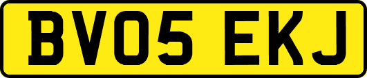 BV05EKJ