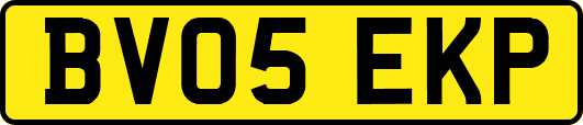 BV05EKP