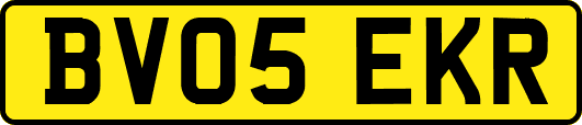 BV05EKR