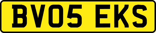 BV05EKS