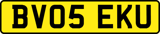 BV05EKU