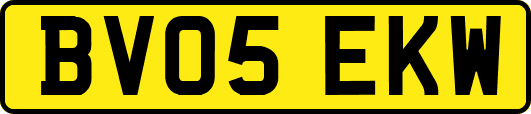 BV05EKW