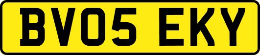 BV05EKY