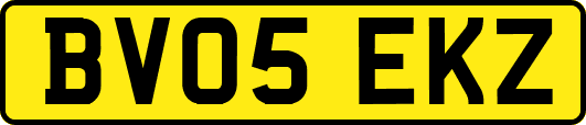 BV05EKZ