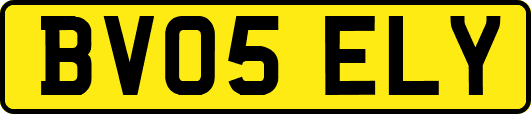 BV05ELY
