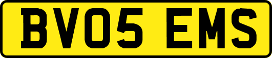 BV05EMS