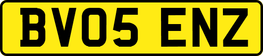 BV05ENZ