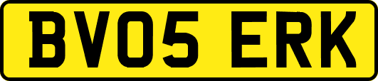 BV05ERK