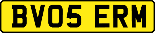 BV05ERM