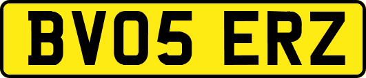BV05ERZ