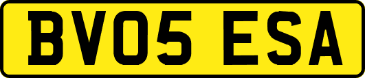 BV05ESA