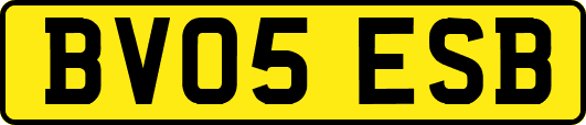 BV05ESB
