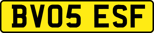 BV05ESF