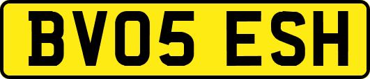 BV05ESH