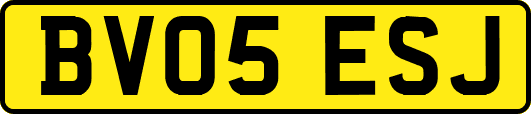 BV05ESJ