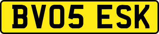 BV05ESK