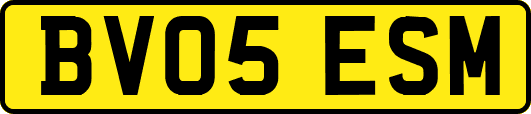 BV05ESM