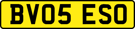 BV05ESO